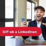 29LinkedInalap (2)